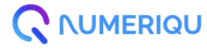 numeriq logo 1